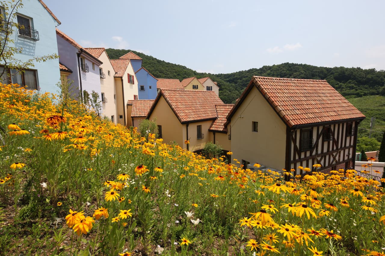 Nami Island, Petite France, and Italian Village Tour from Seoul - 이미지 5