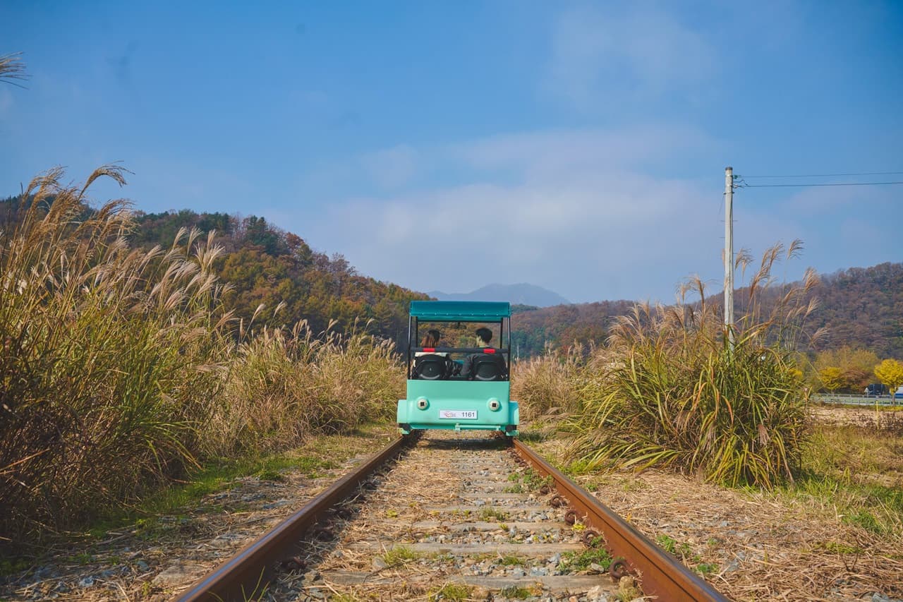 Nami Island, Mount Seorak, and Garden of Morning Calm Full-Day Tour from Seoul - image 9