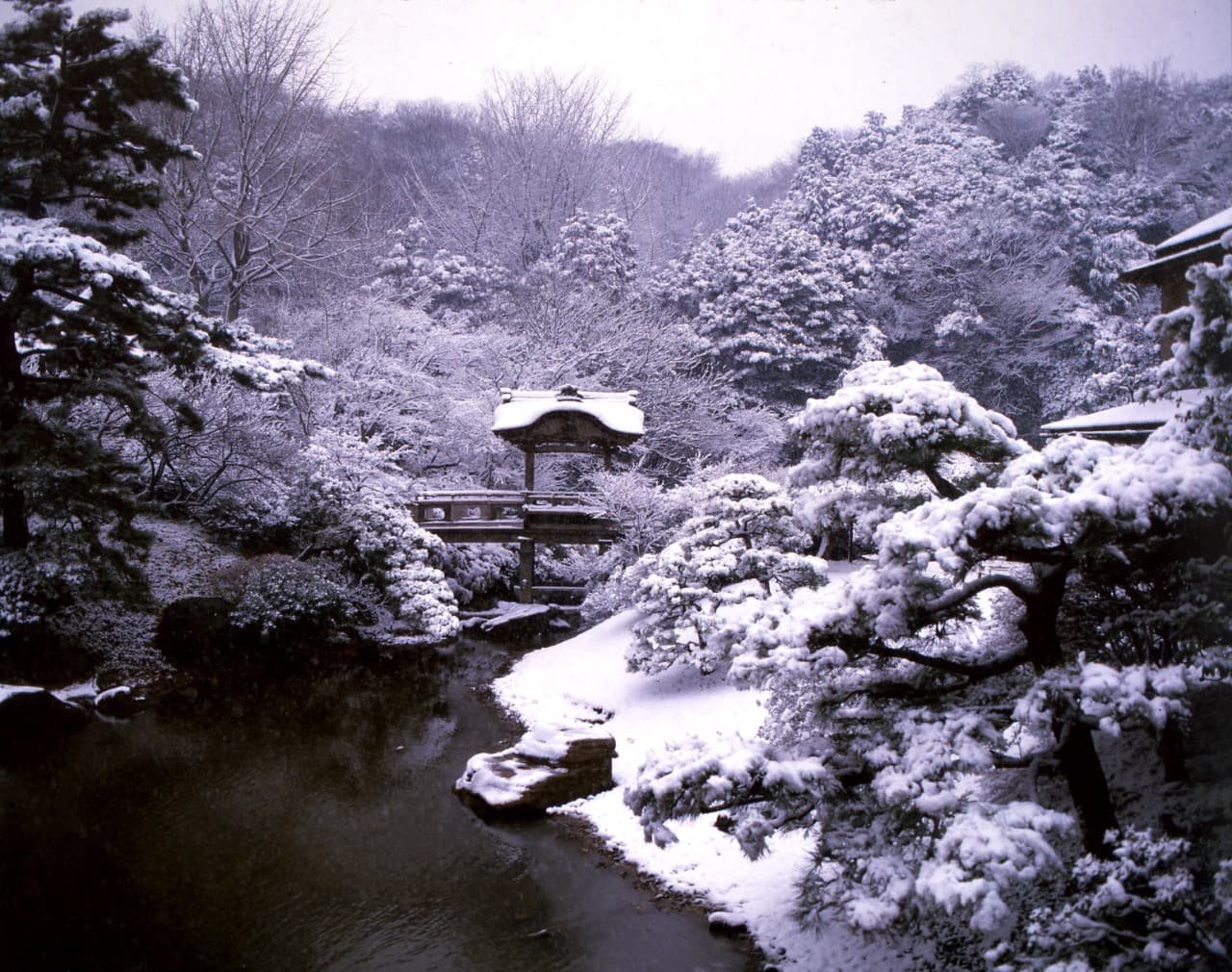 Sankeien Garden Ticket - image 10