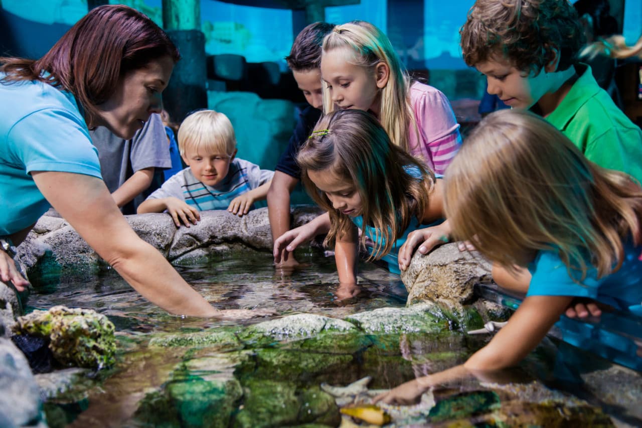 Go City Orlando Explorer Pass: Save up to 50% on Attractions - image 23
