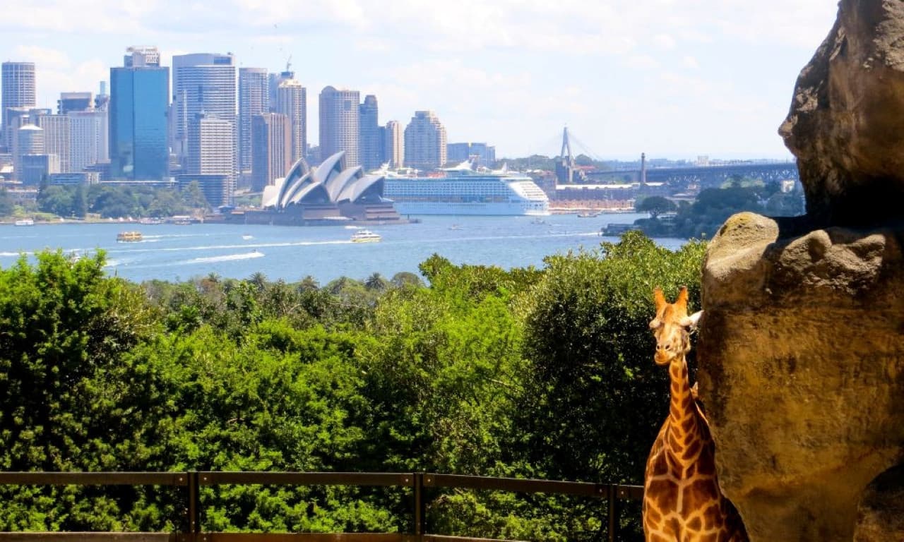 Taronga Zoo Ticket with Optional Round Trip Ferry - image 9