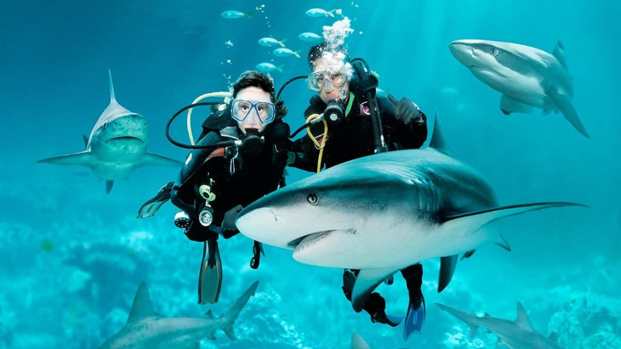 Ultimate Marine Life Experience at Adventure Cove Waterpark - image 5