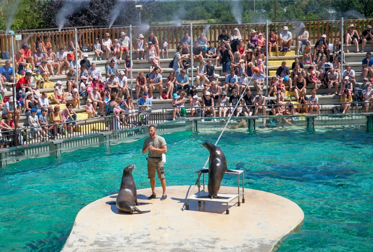Safari de Peaugres: Entrada - imagen 6