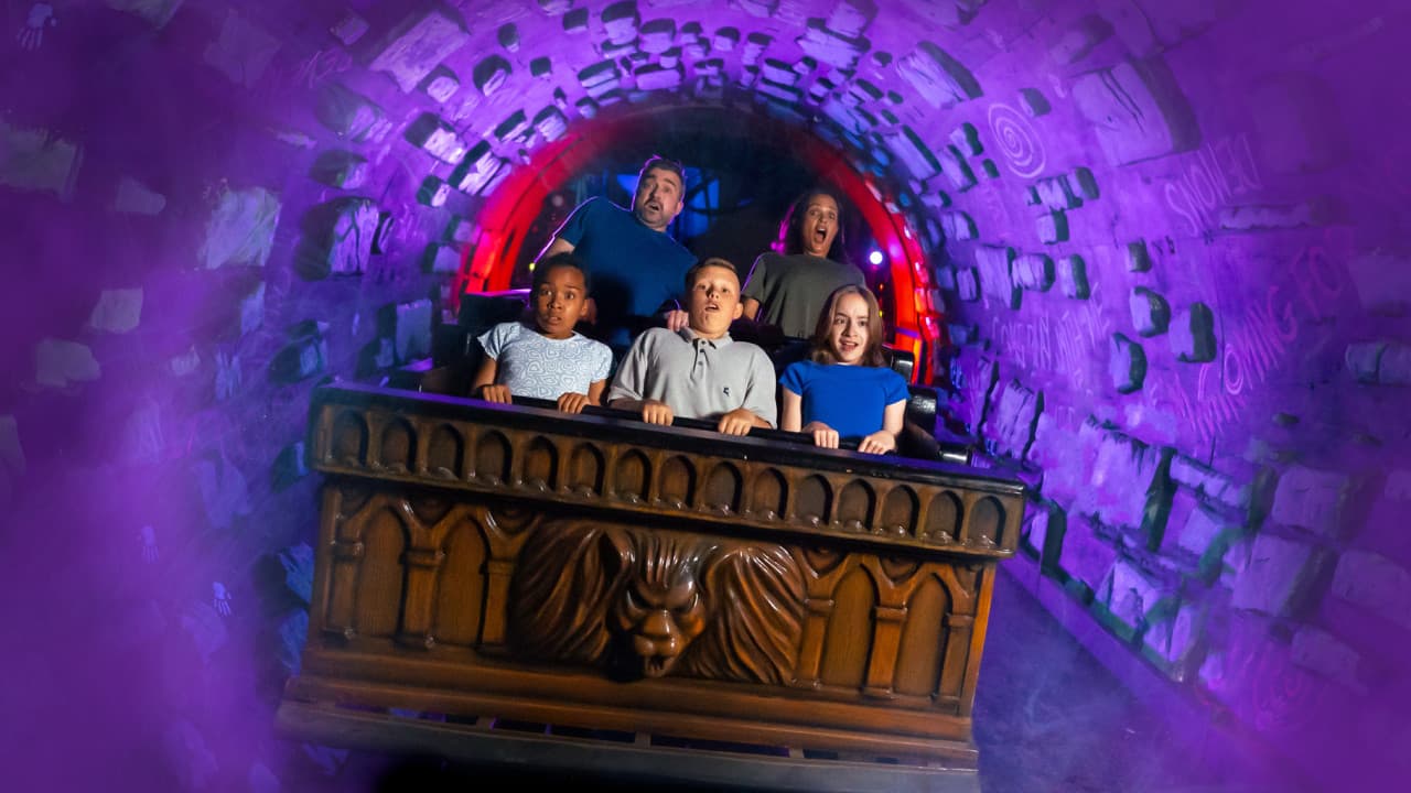 Alton Towers Ticket - image 18