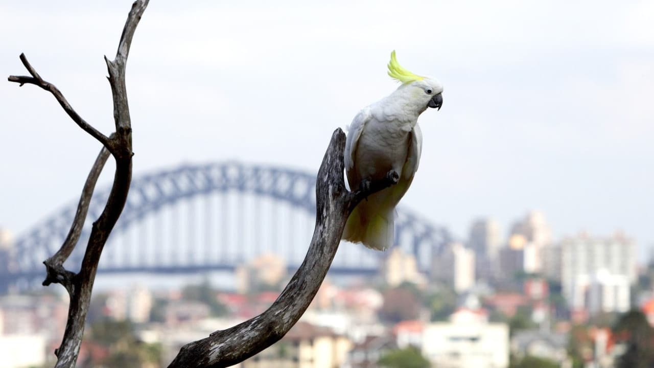 Taronga Zoo Ticket with Optional Round Trip Ferry - image 4