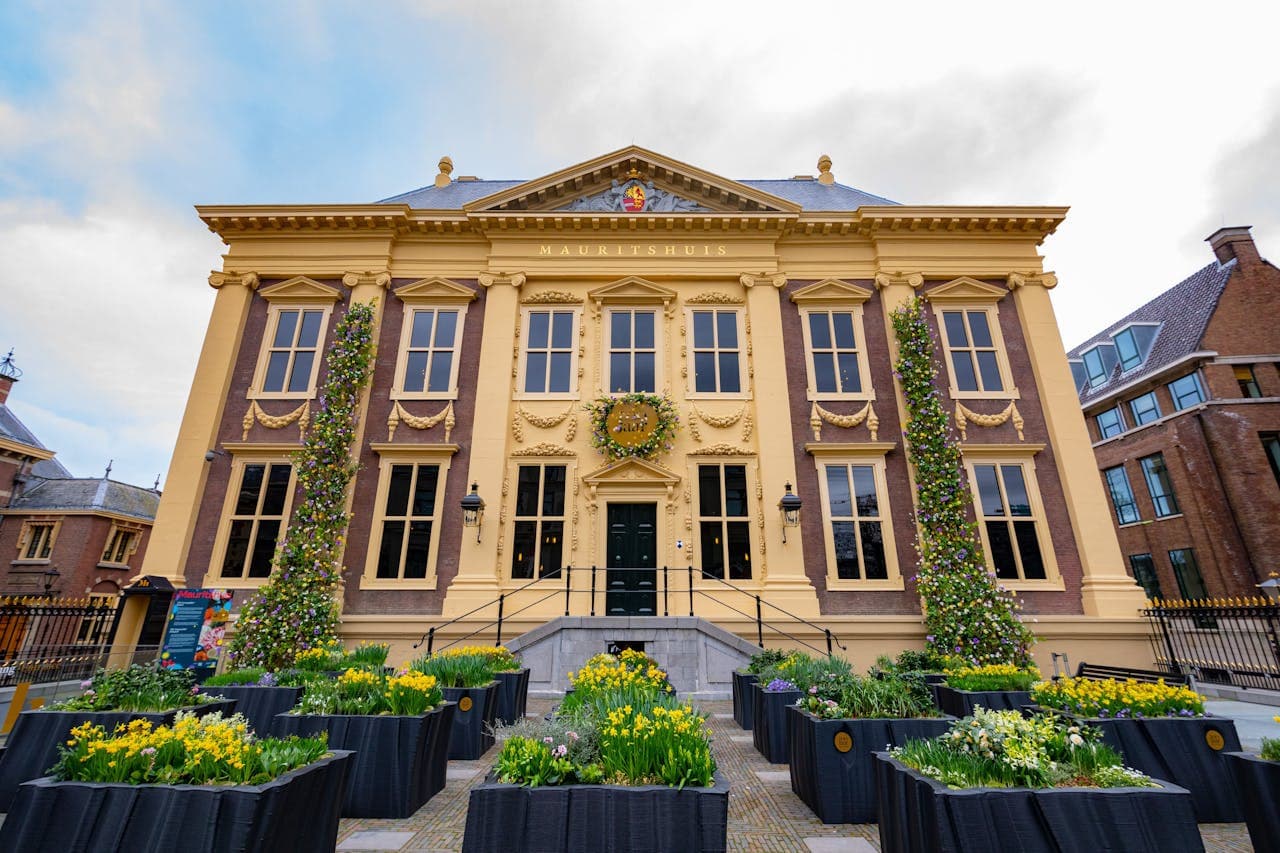 The Mauritshuis Museum Ticket - image 6