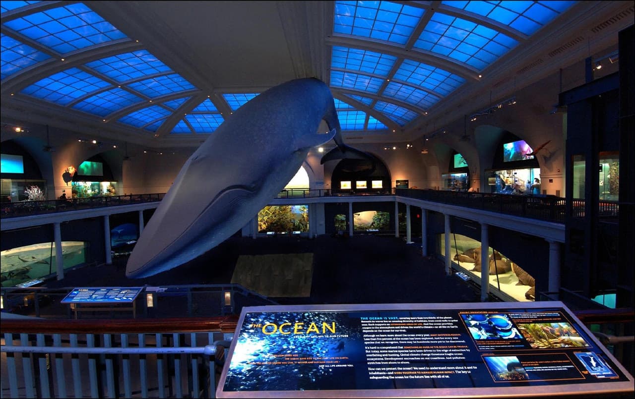 American Museum of Natural History Ticket - image 9