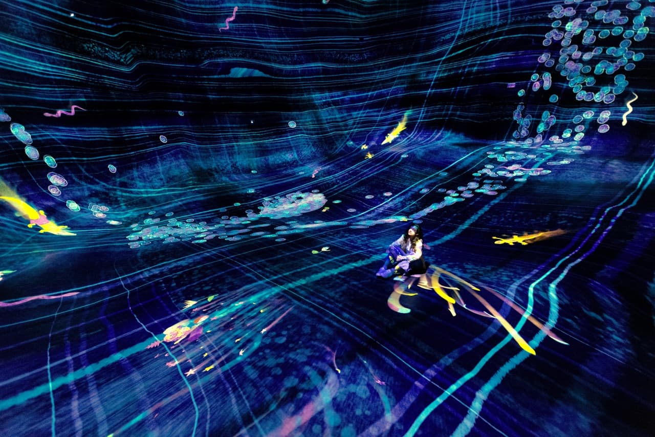 teamLab Phenomena Abu Dhabi Ticket - image 4