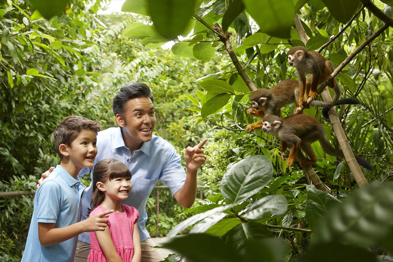 Go City Singapore All-Inclusive Pass: Save up to 50% on Attractions - image 25