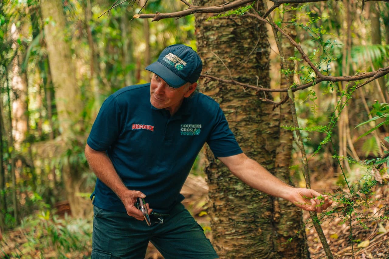 Tamborine Mountain Guided Walk and Wine Tasting Tour - imagen 7
