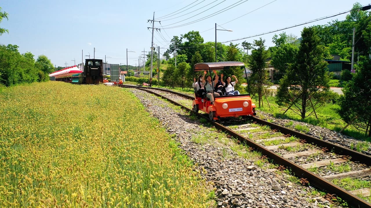 Nami Island, Mount Seorak, and Gapyeong Rail Bike Full-Day Tour from Seoul - image 21