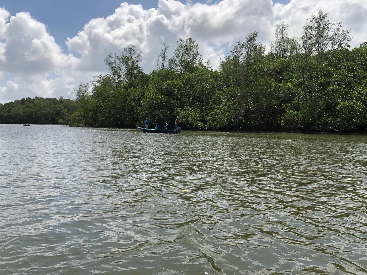 Lebam River Cruise - image 2