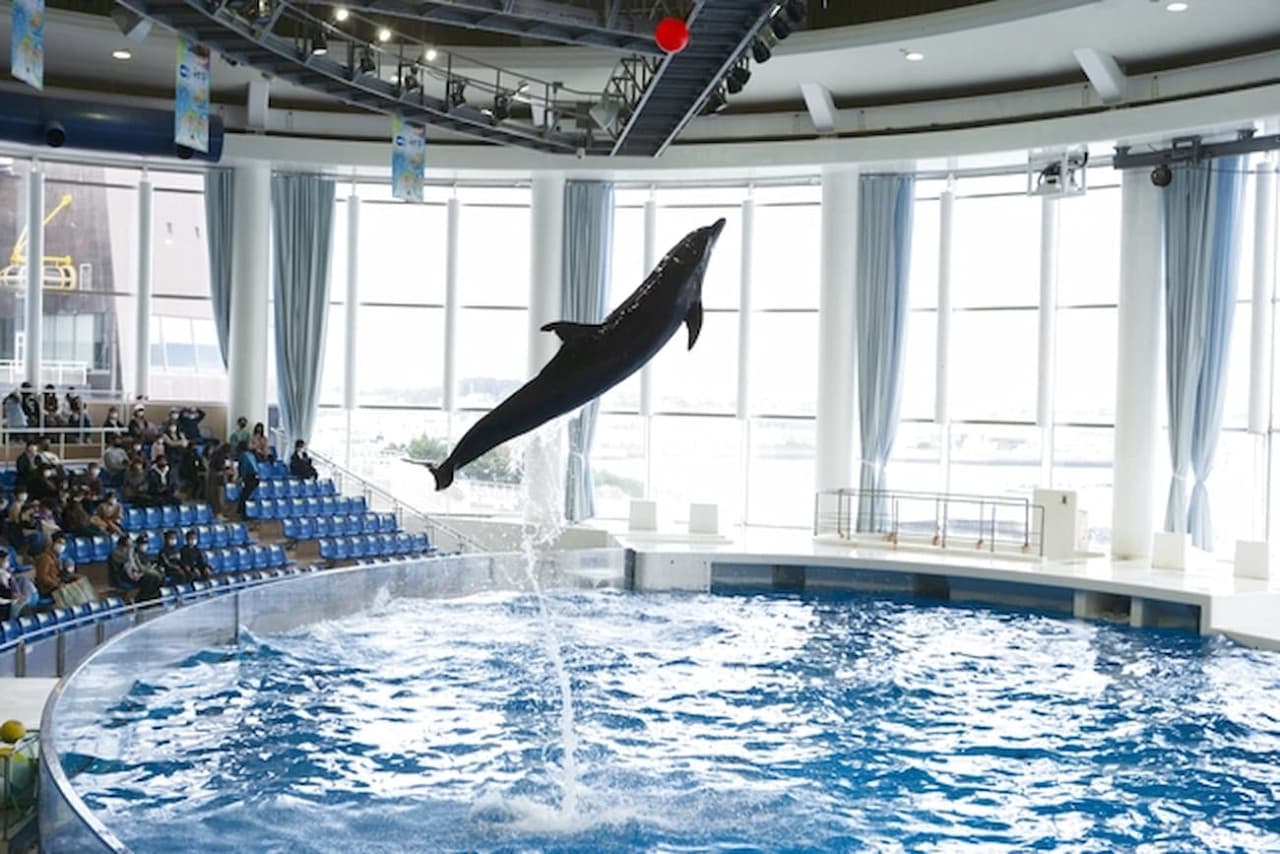 Entrada para Aqua World Ibaraki Prefectural Oarai Aquarium - imagen 6