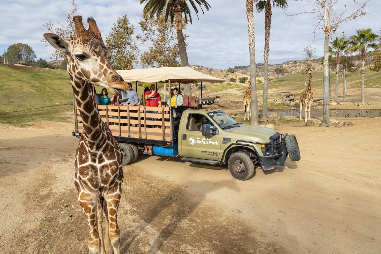 San Diego Zoo Safari Park Ticket - main image
