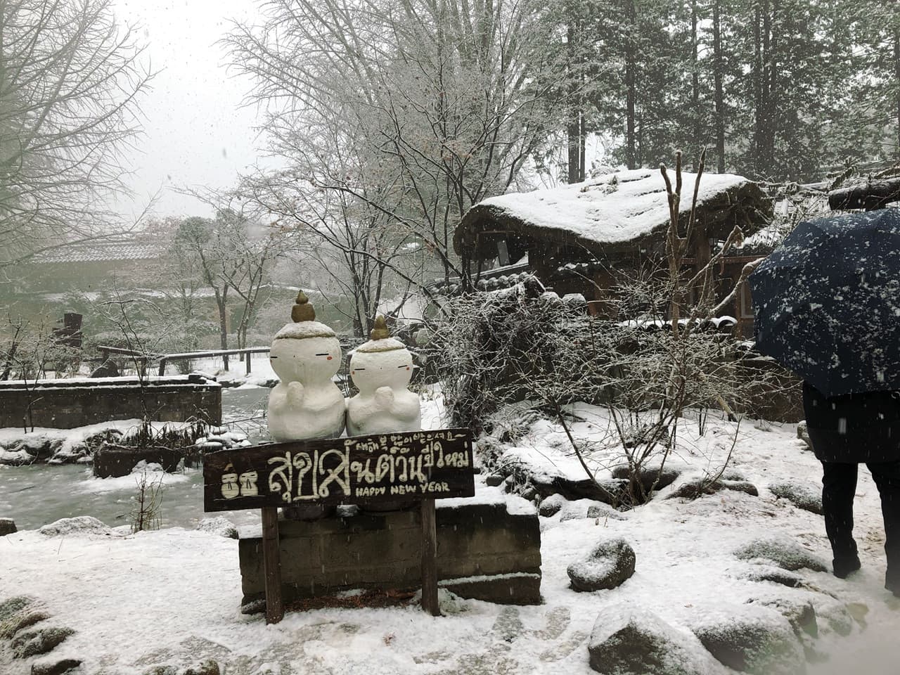 Nami Island, Mount Seorak, and Gapyeong Rail Bike Full-Day Tour from Seoul - image 11