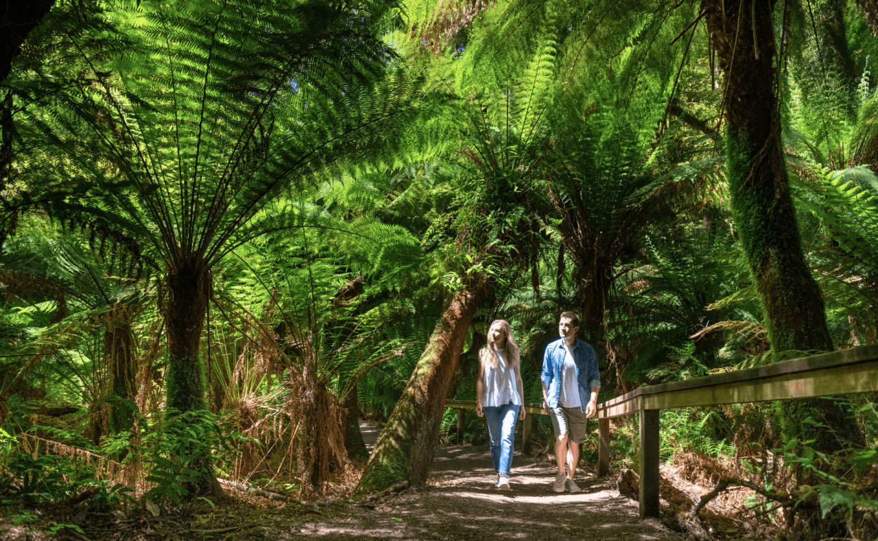 Great Ocean Road Tour from Melbourne - image 7