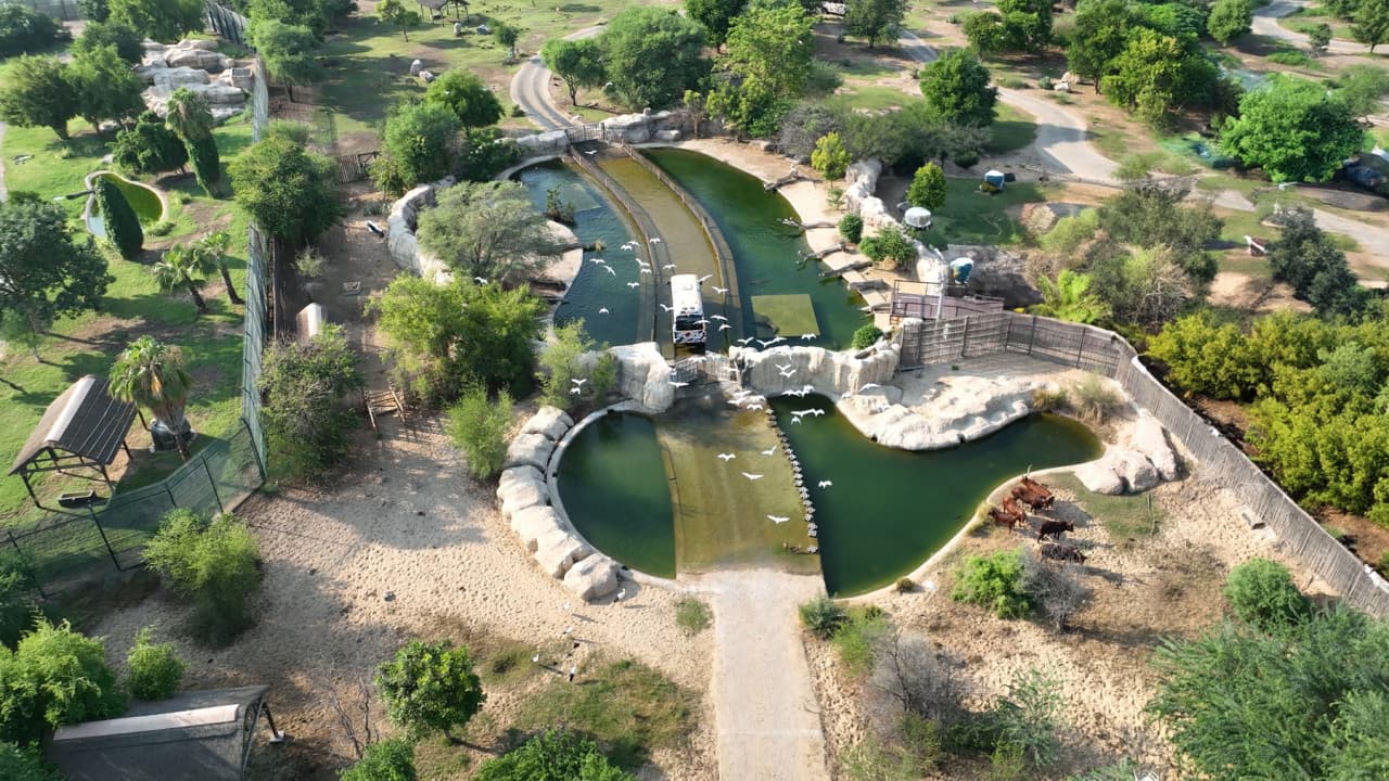 Dubai Safari Park Ticket - image 30
