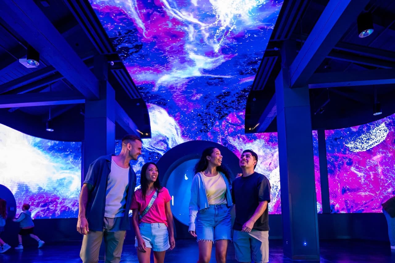 SeaWorld San Diego Ticket: Direct Entry - image 5