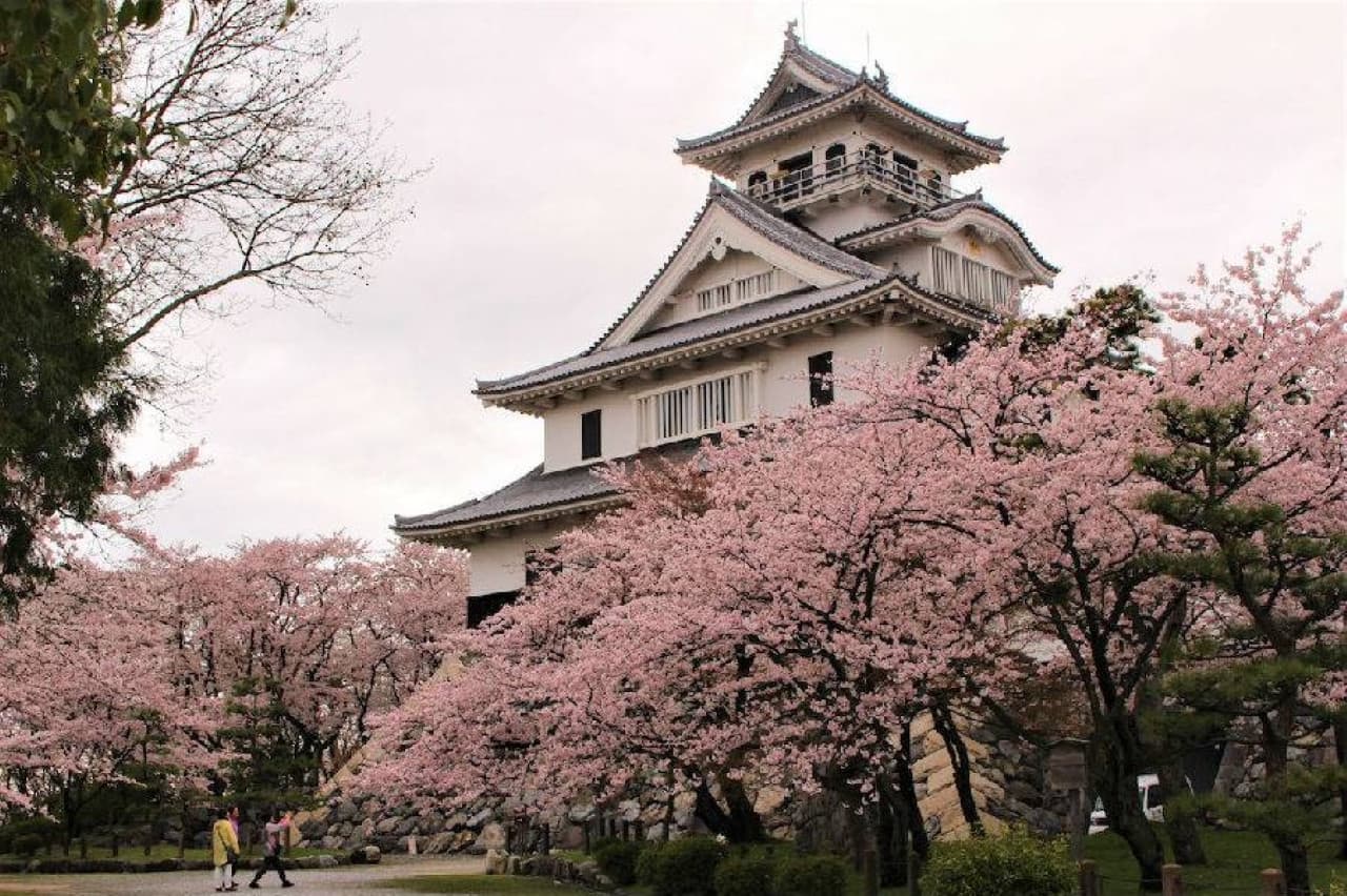 JR Kansai WIDE Area Pass - image 4