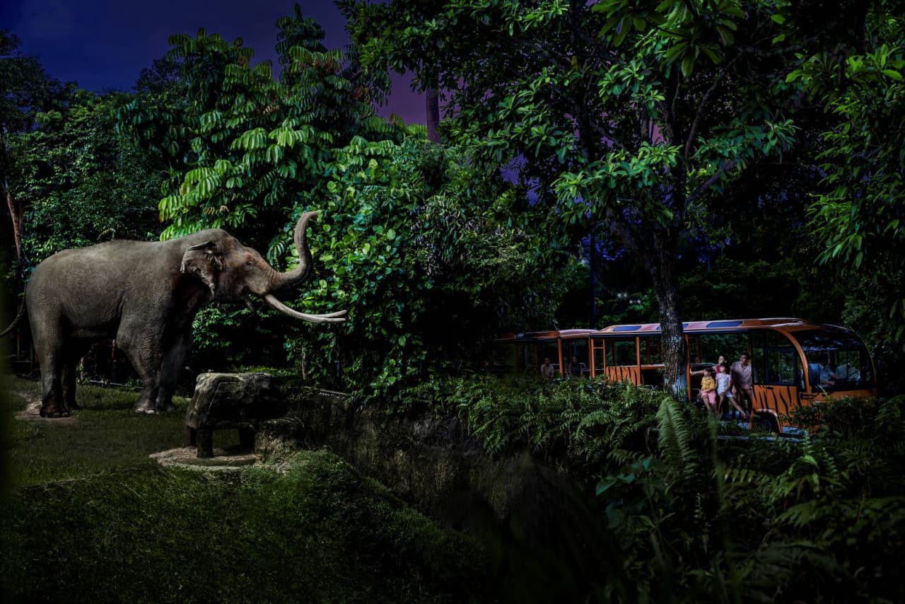 Mandai Destination Pass: Visit Up to 6 Attractions in 1 or 5 Days - image 13