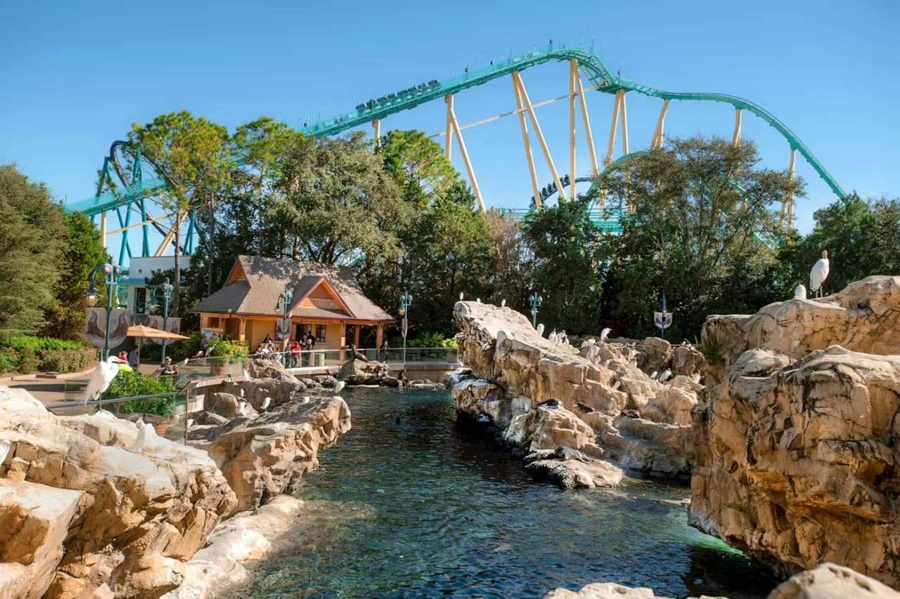 SeaWorld Orlando Ticket: Direct Entry + Optional All-Day Dining Deal + Multi-Park Discount Ticket - image 12