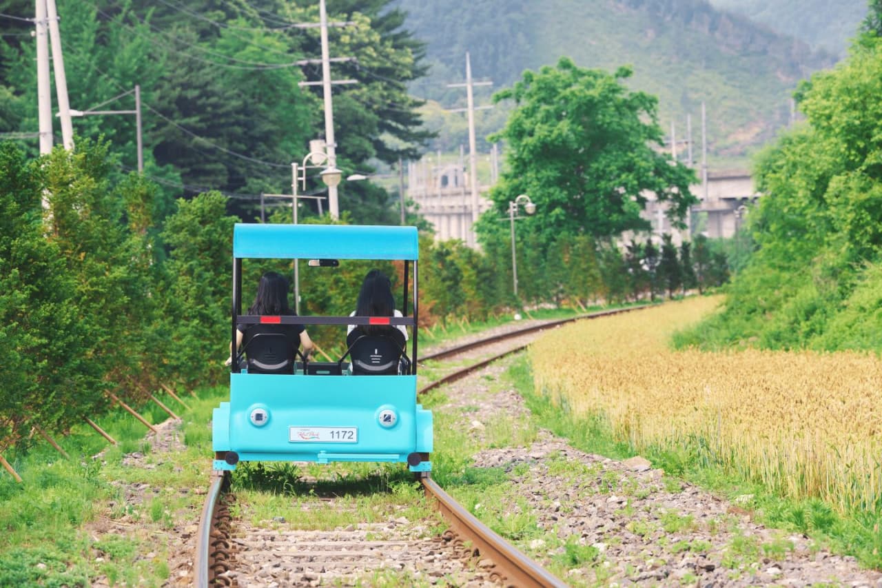 Alpaca World, Nami Island, and Garden of Morning Calm Tour from Seoul - 이미지 4