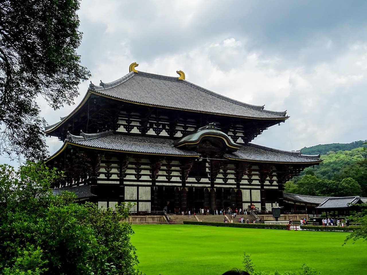 Nara Tour from Kyoto - imagen principal