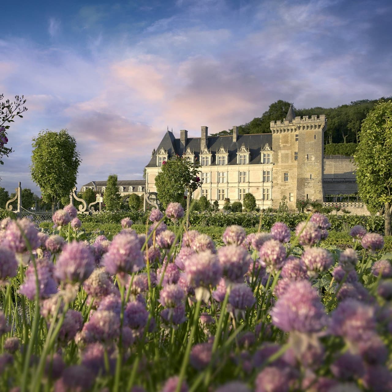 Château de Villandry Ticket - main image