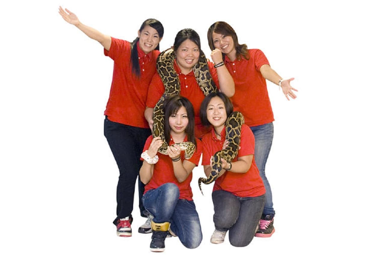 오키나와 월드 패스  (옥천동굴 + 킹덤빌리지 + 하부박물관 | 워크숍 옵션 선택 가능) - 이미지 15