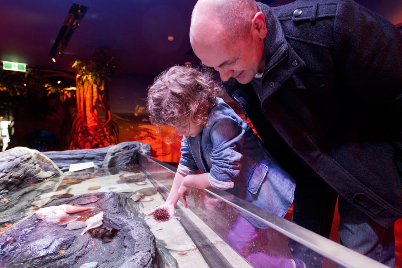COMBO: Melbourne Skydeck + SEA LIFE Melbourne Aquarium Tickets - image 9