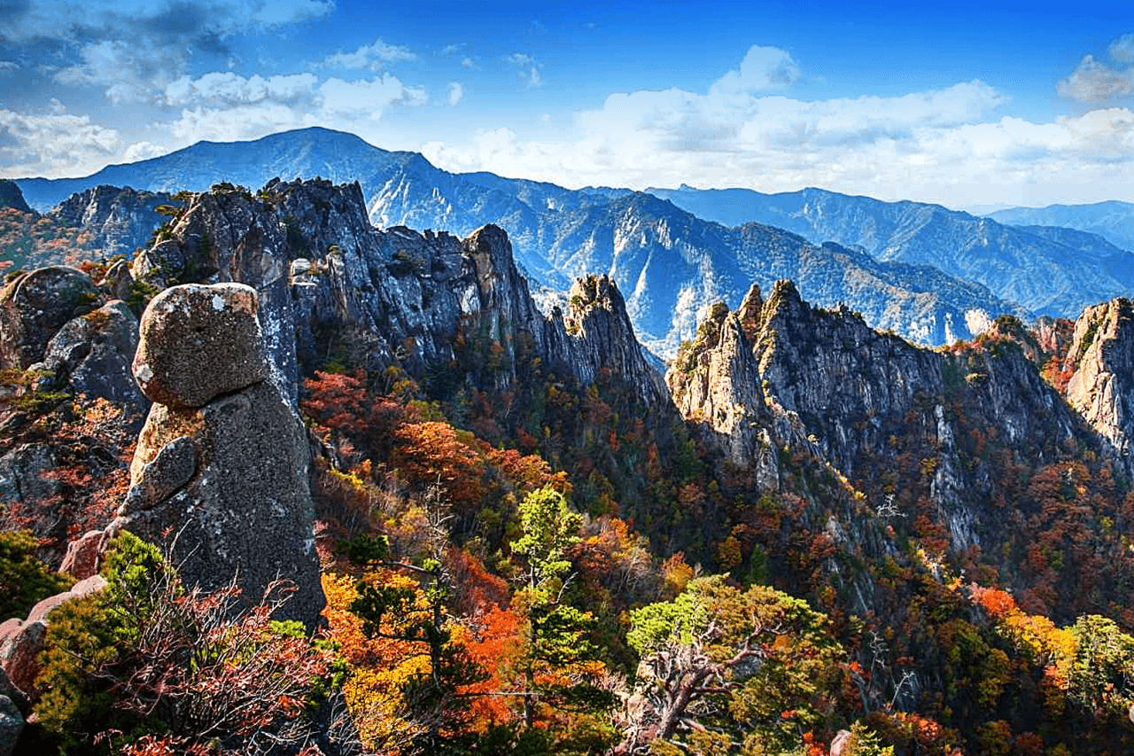 Nami Island, Mount Seorak, and Garden of Morning Calm Full-Day Tour from Seoul - image 6
