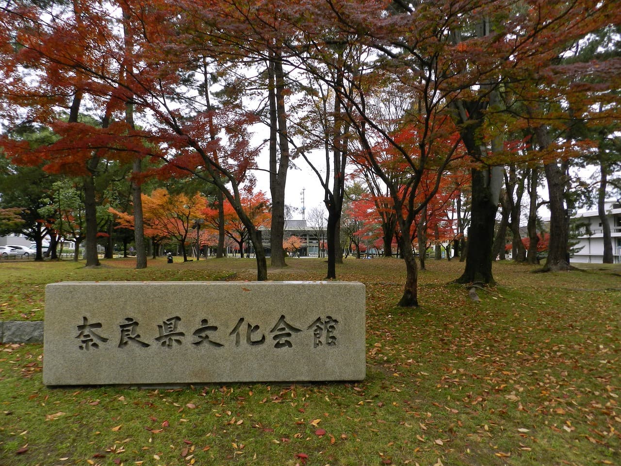 Nara Tour from Kyoto - image 3