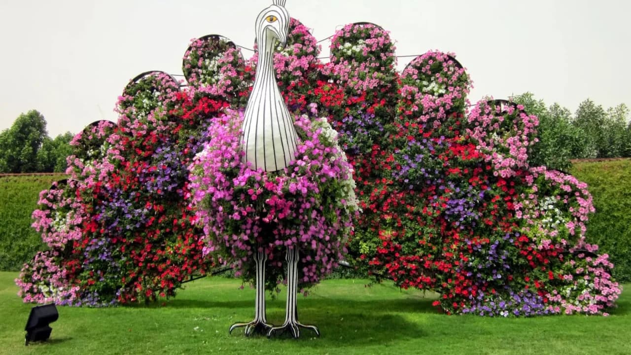 Dubai Miracle Garden Ticket - image 8