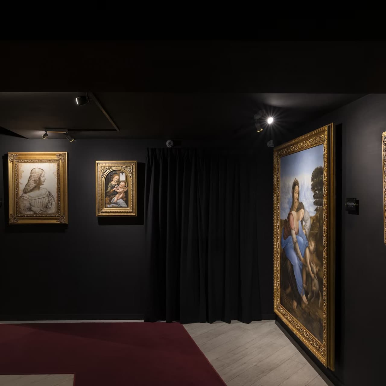 Leonardo da Vinci Experience - imagen 3