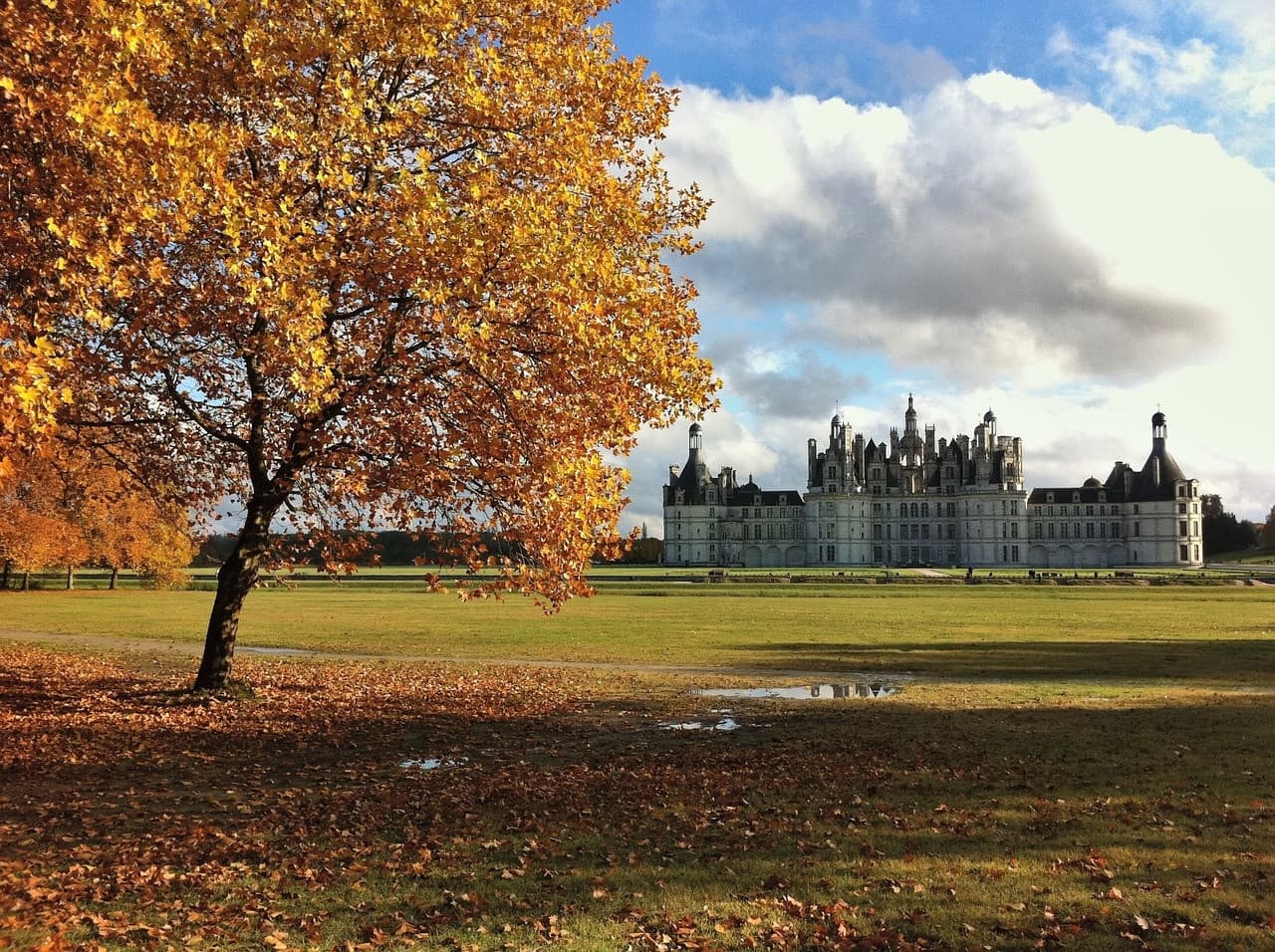 Loire Valley Tour from Paris: Chambord, Chenonceau, and Cheverny Castles - image 4