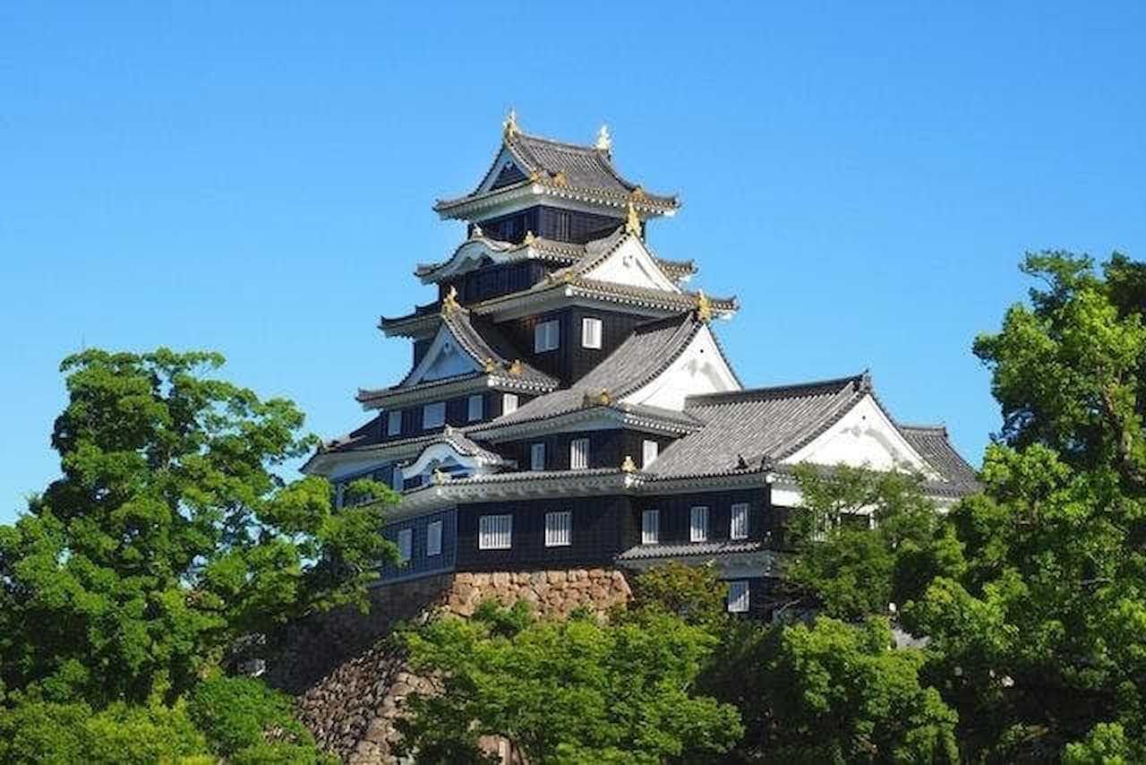 Okayama Castle Ticket - image 3