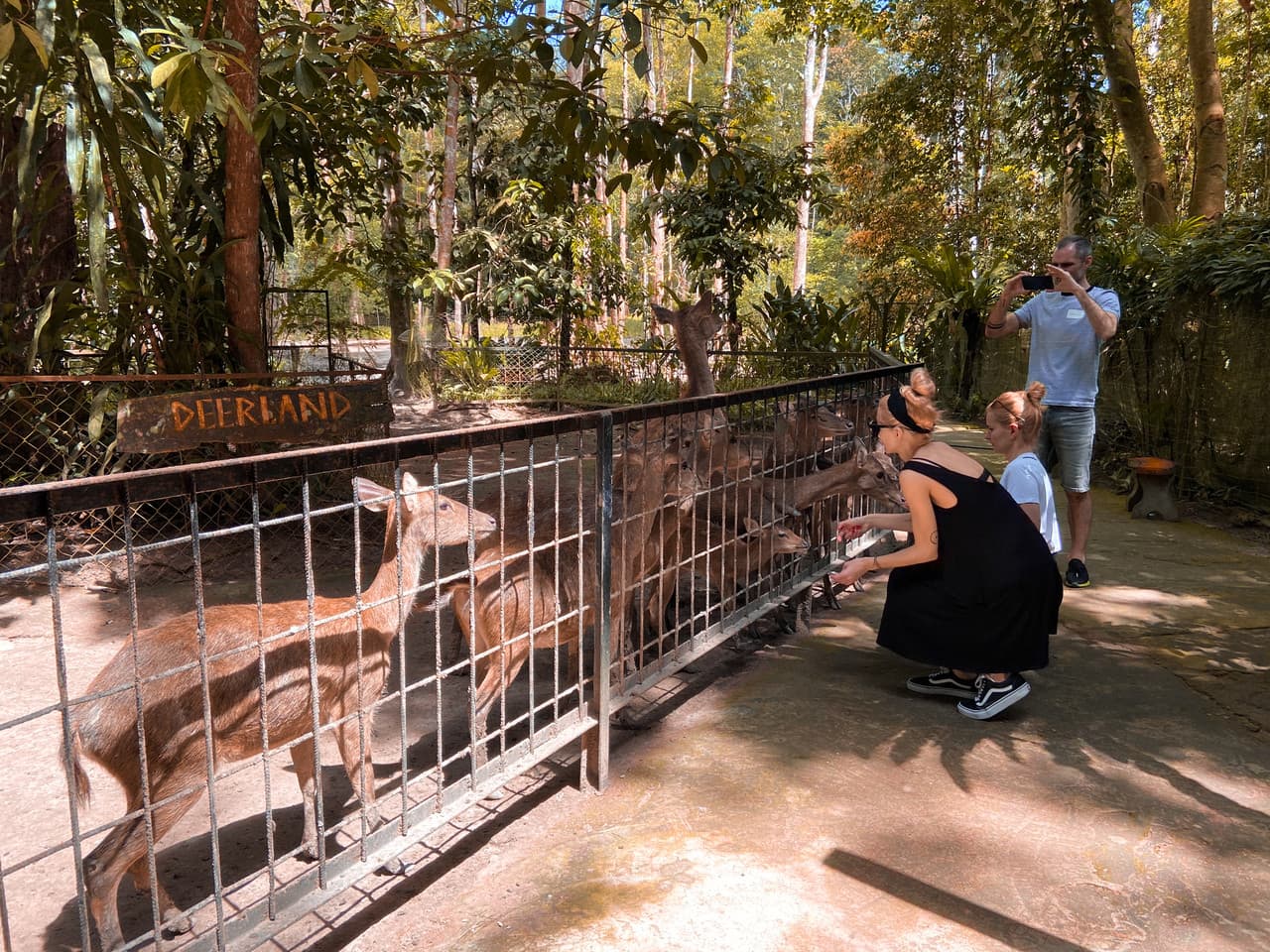 Batu Caves and Kuala Gandah Elephant Sanctuary Full-Day Tour from Kuala Lumpur - image 11