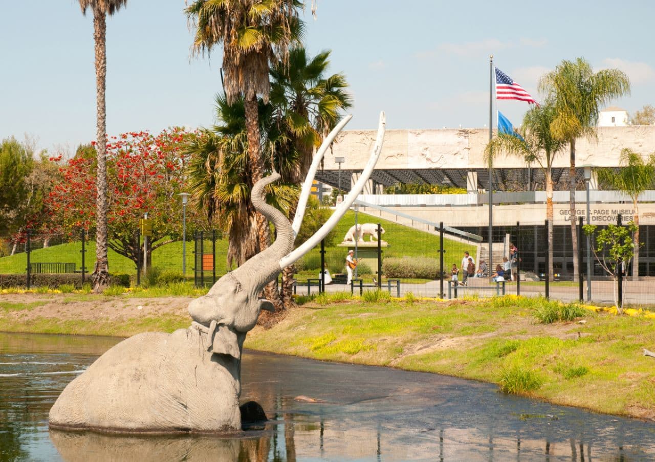 Go City Los Angeles All-Inclusive Pass: Save up to 50% on Attractions - image 13