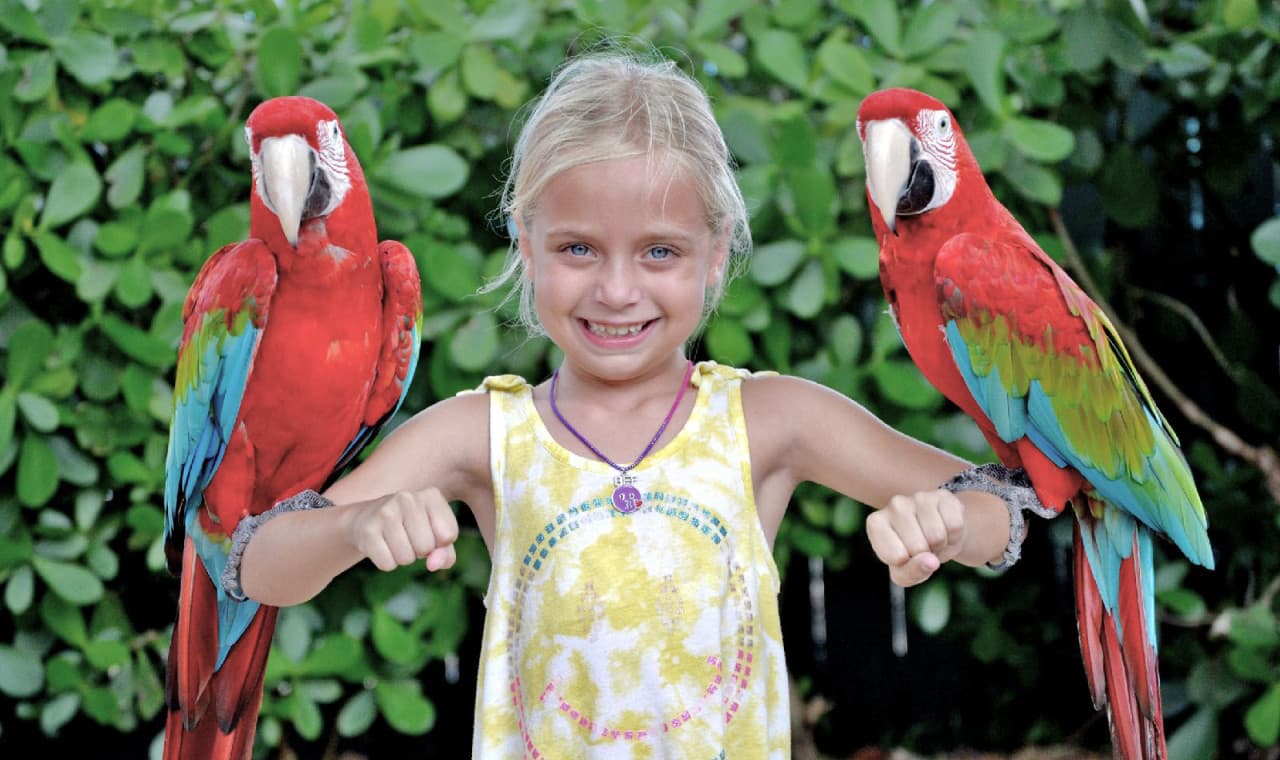 Go City Miami Explorer Pass: Save up to 50% on Attractions - image 26