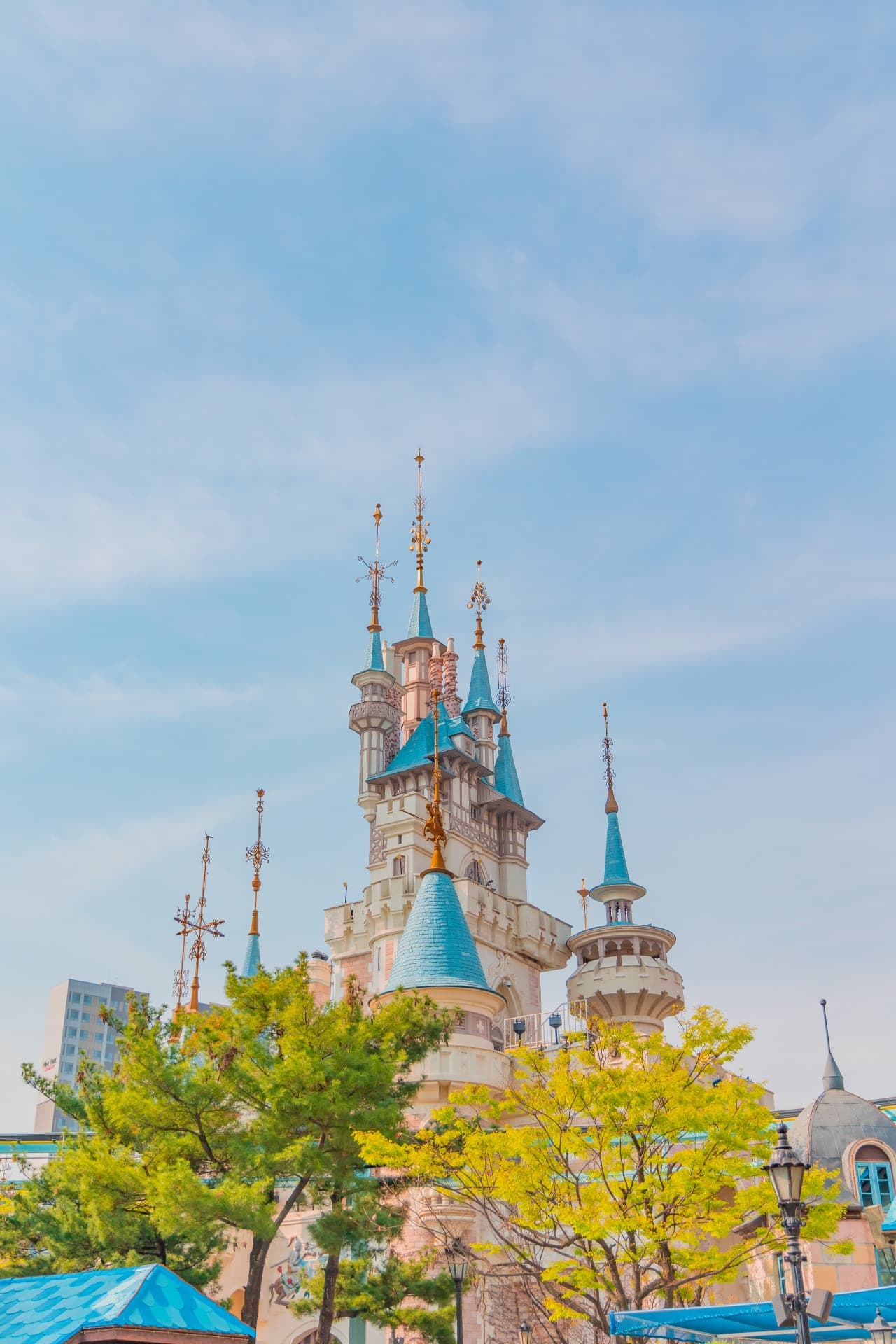 COMBO: AREX Incheon Airport Express Train + Korea SIM Card + Lotte World - image 14