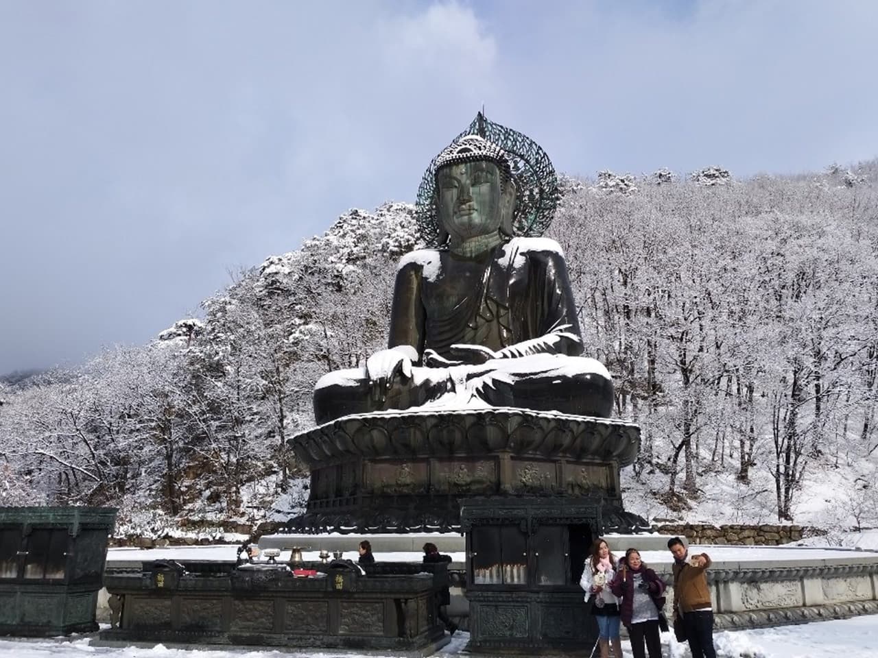 Nami Island, Mount Seorak, and Gapyeong Rail Bike Full-Day Tour from Seoul - image 14