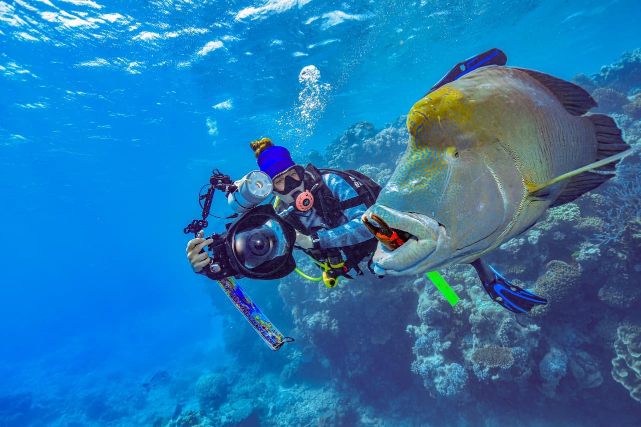 Reef Magic Pontoon Tour from Cairns - image 12