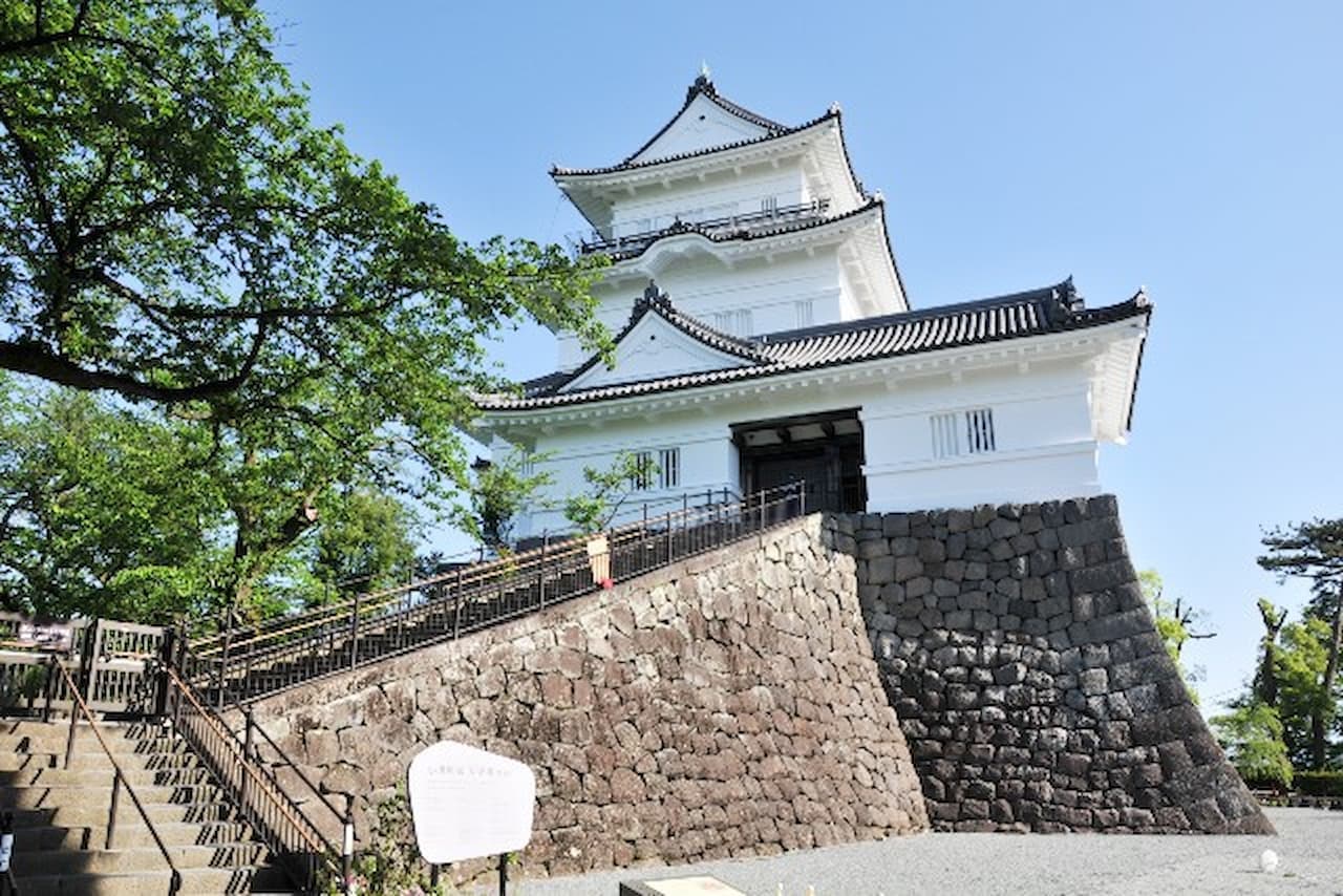 Odawara Castle Ticket - main image