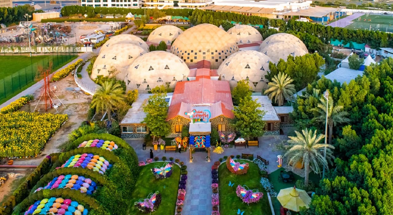 COMBO: Dubai Miracle Garden + Dubai Butterfly Garden Tickets - image 8