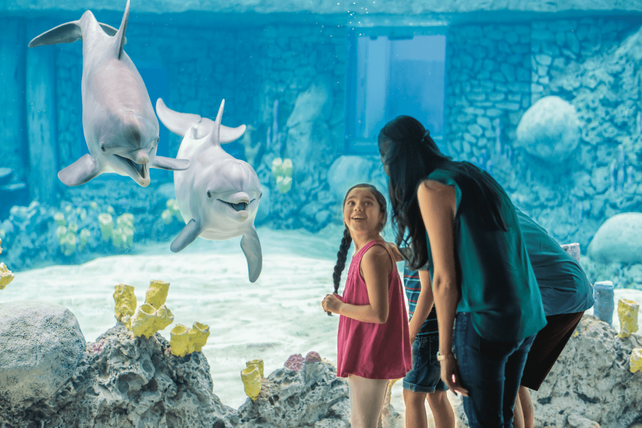 Go City San Antonio Essentials Pass: 3 Attractions - image 6
