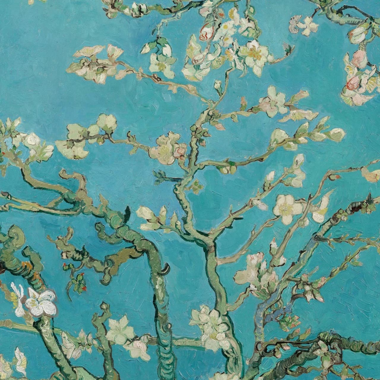 Van Gogh Museum + Amsterdam Canal Cruise Ticket - image 5