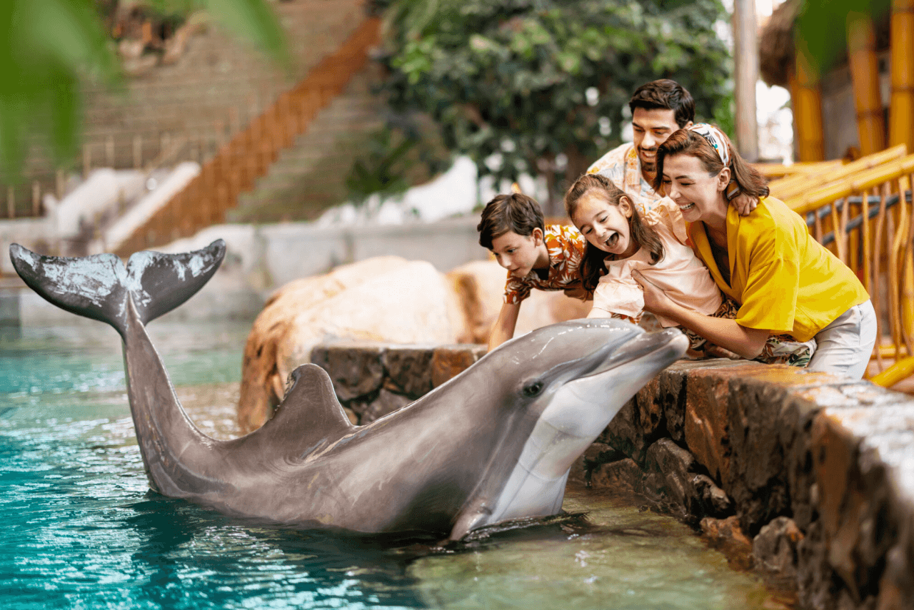 Entrada a SeaWorld Abu Dhabi - imagen 10