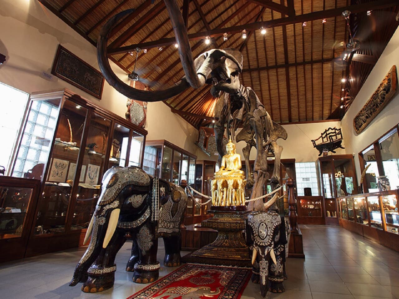 Mason Elephant Park Bali by Mason Adventures (Formerly known as Elephant Safari Park) - image 11