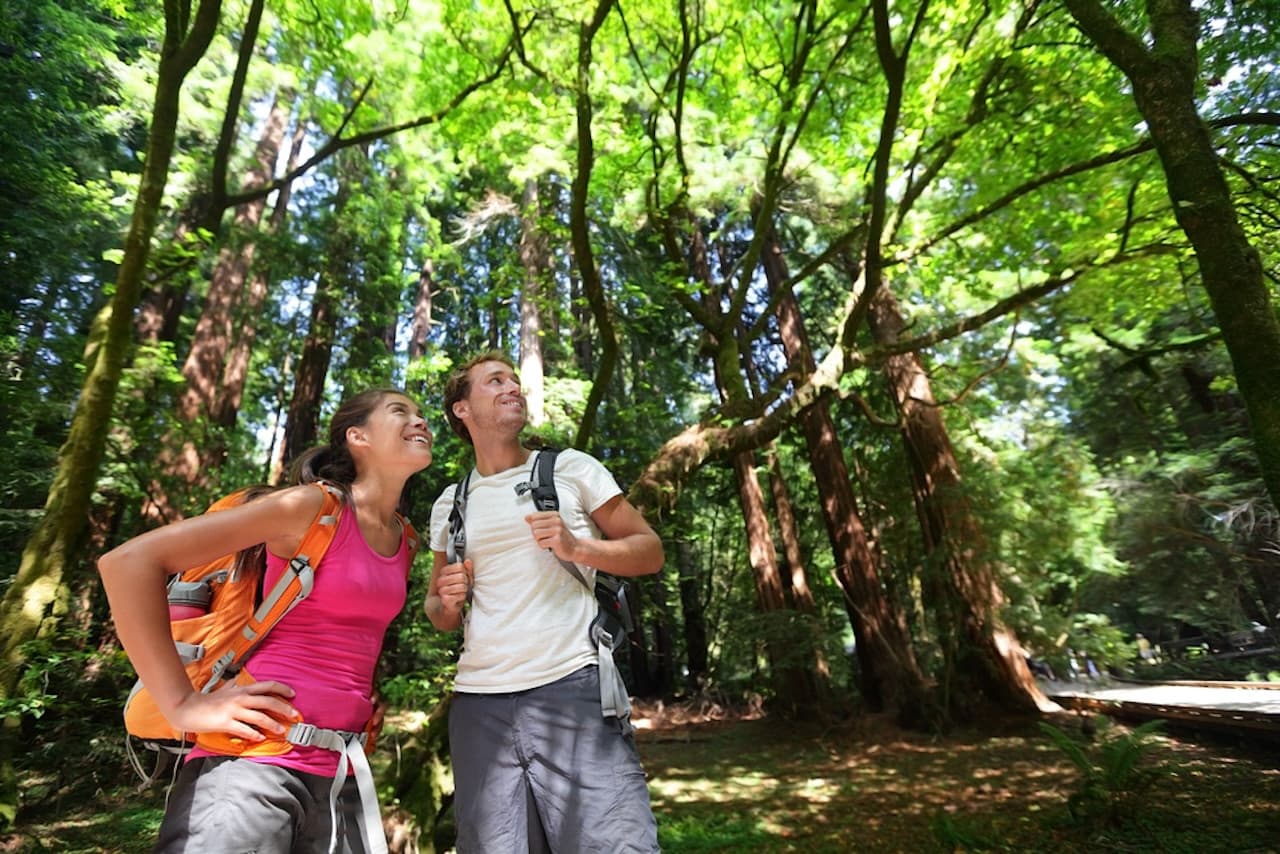Muir Woods and Sausalito Tour from San Francisco - image 2
