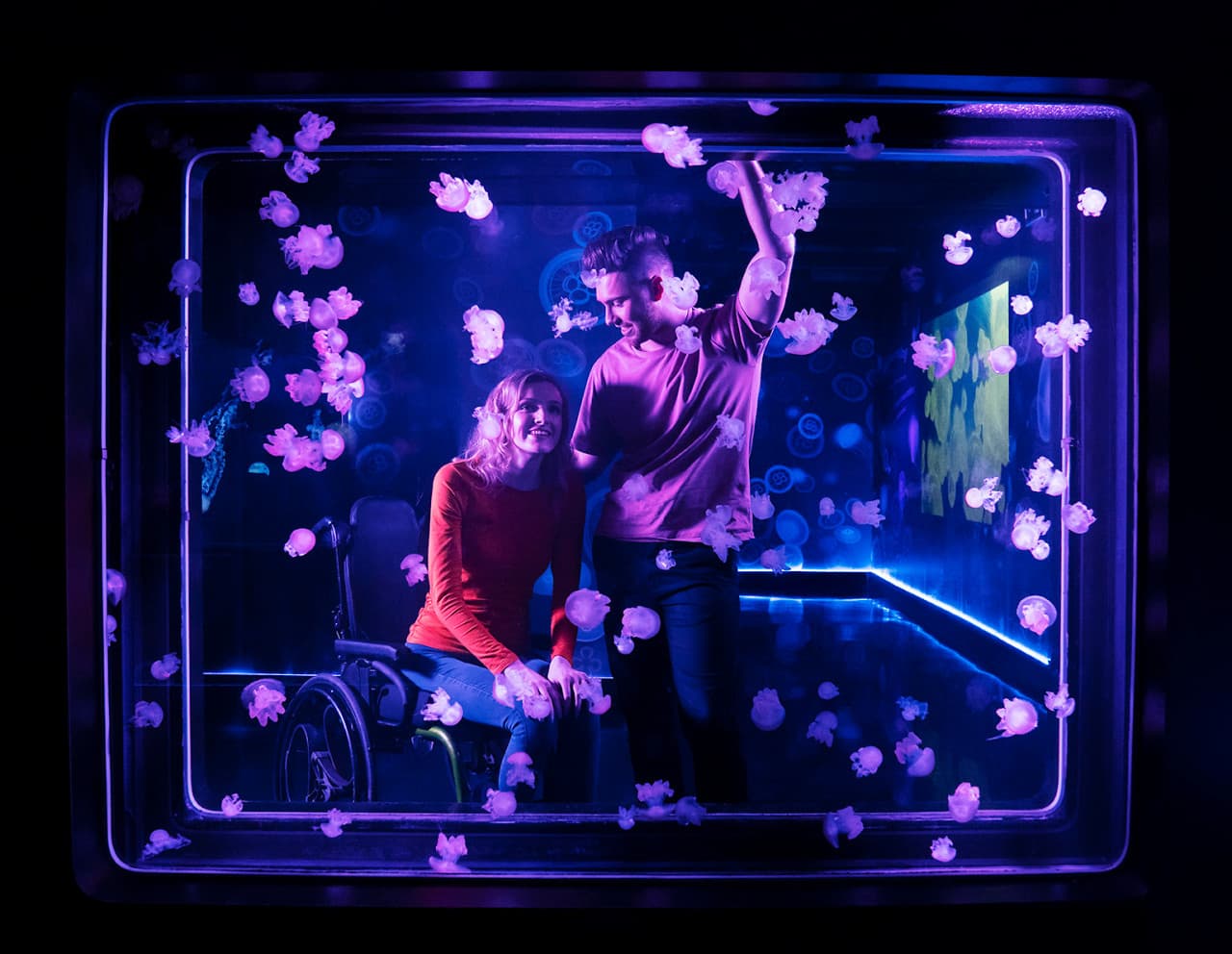 COMBO: Madame Tussauds London + SEA LIFE London Aquarium Ticket - image 9
